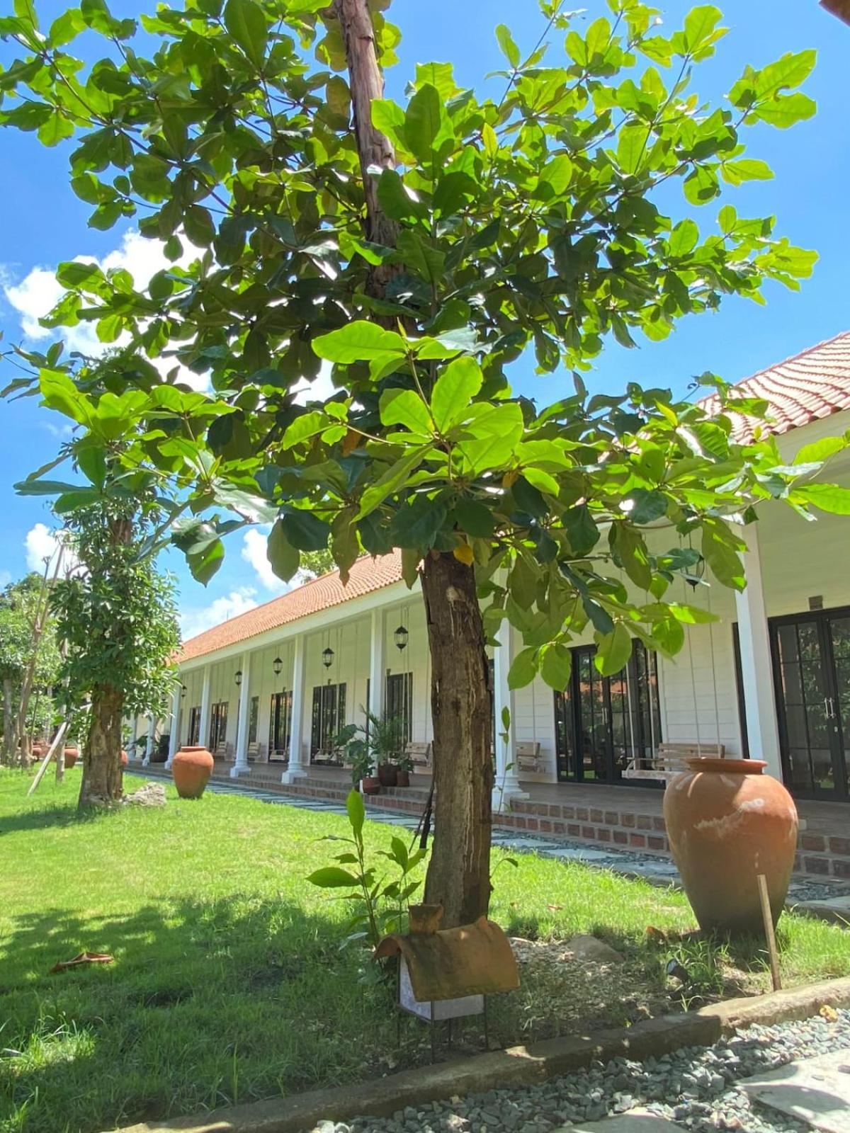 Pasir Putih Resort & Resto Maluk Экстерьер фото
